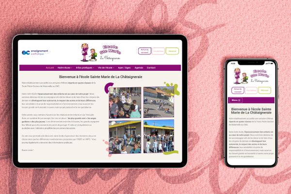 Création de site web vendée à la chataigneraie ecole mairie association entreprise freelance